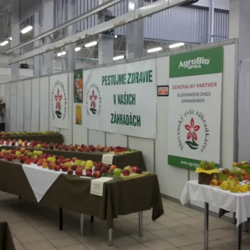 Fotogaléria