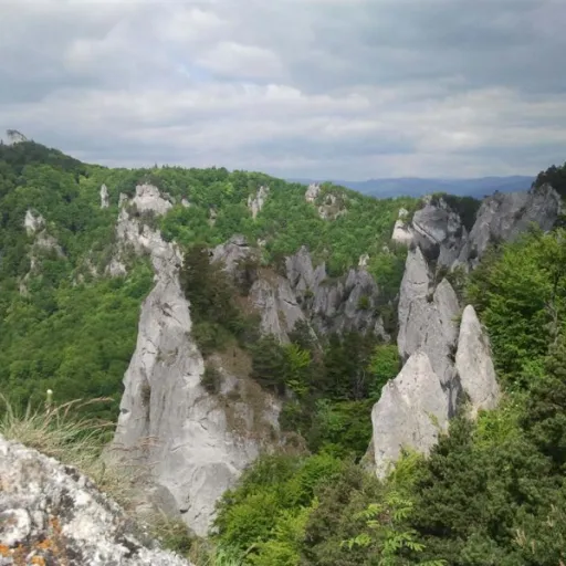 Fotogaléria